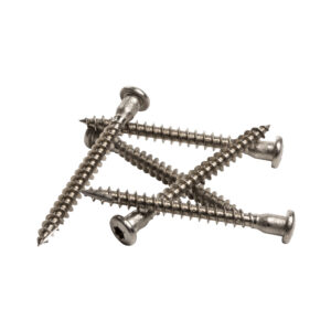 Nurgakruvi 5.0x50 A2 TORX 20 (3500tk)