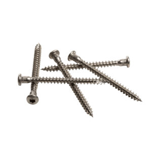 Nurgakruvi 5.0x60 A2 TORX 20 (2800tk)